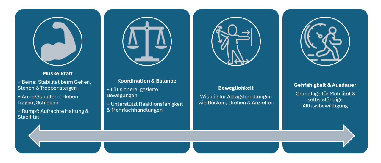 Die vier Säulen der Bewegungsfähigkeit sollten im Alter gleichmäßig trainiert werden, um Fitness zu erhalten und das Sturzrisiko zu senken.