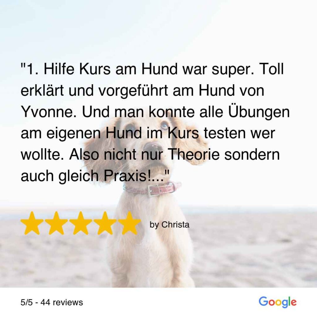 Feedback Erste-Hilfe-am-Hund-Kurs 1