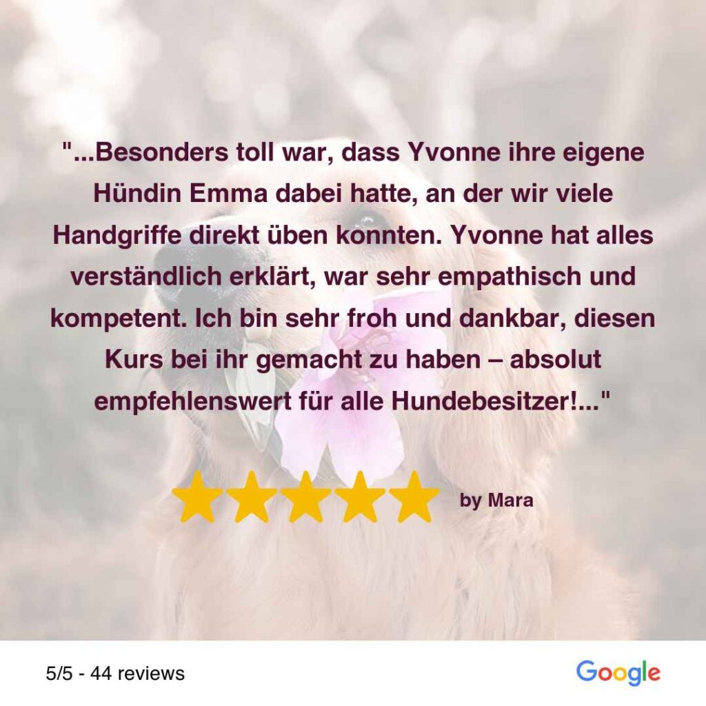 Feedback Erste Hilfe am Hund-Kurs 2